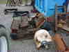 click to see picture enlarged
